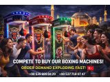 Smoke Effect Factory-Made Wholesale Boxing Punching Machine Arcade Machine Manufacturer and Sales